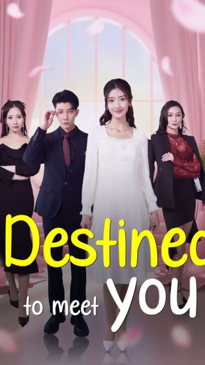 Destined to Meet You