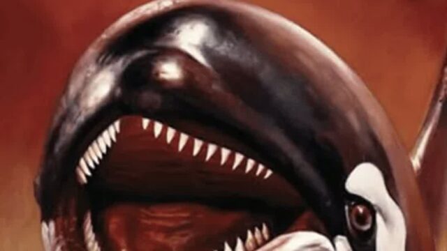 Orca – The Killer Whale