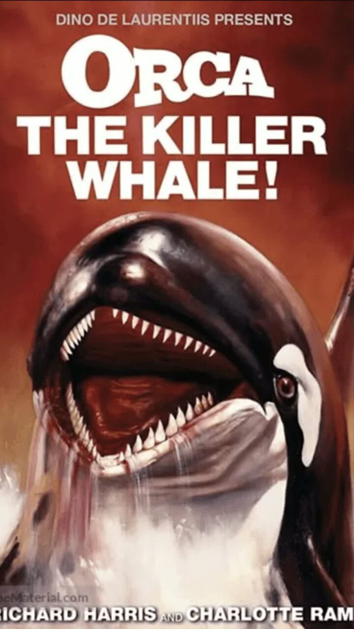 Orca – The Killer Whale