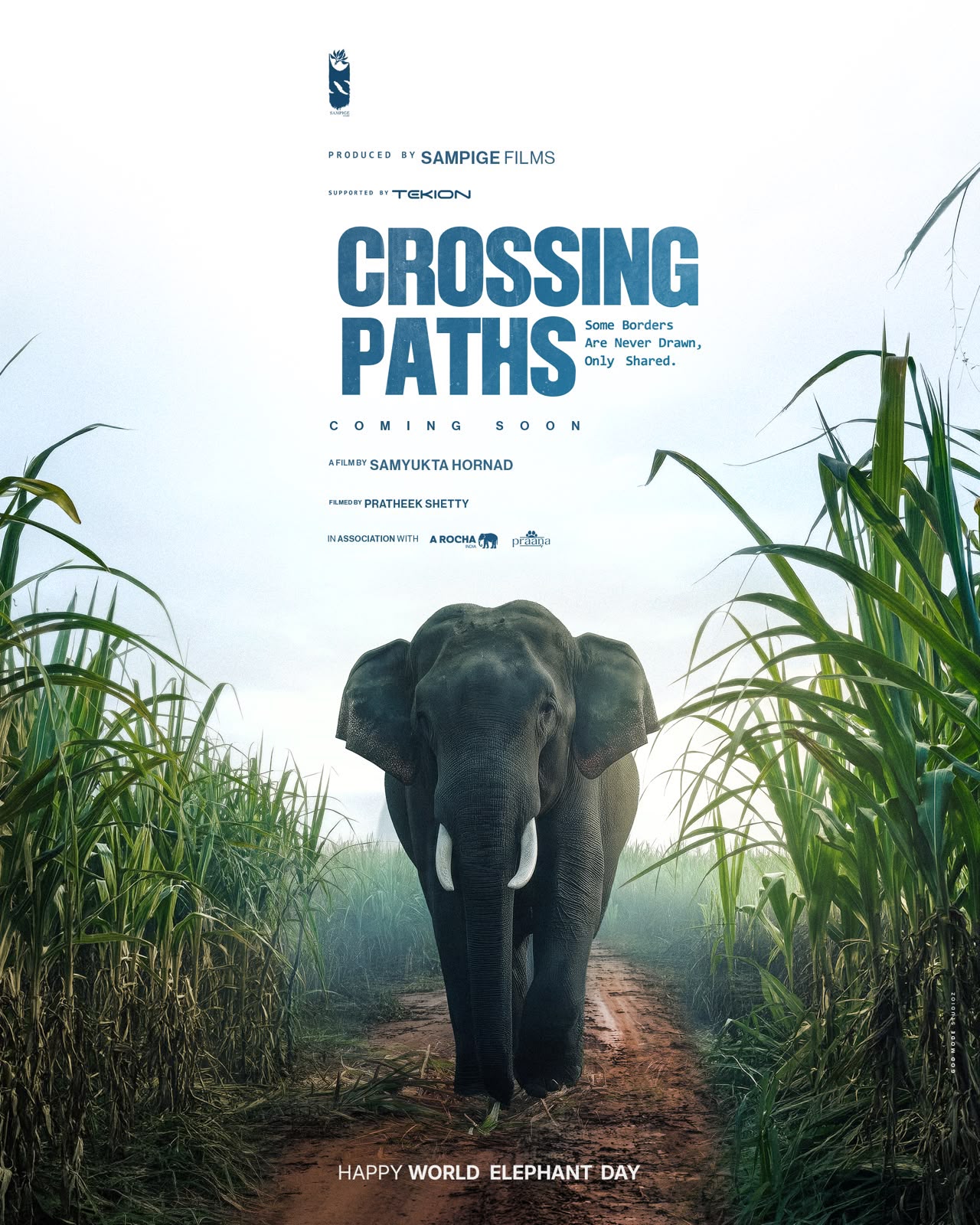 Samyukta Hornad directing the documentary 'Crossing Paths' about human-elephant conflict