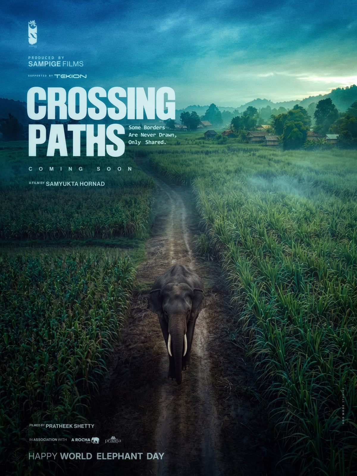 Samyukta Hornad directing the documentary 'Crossing Paths' about human-elephant conflict