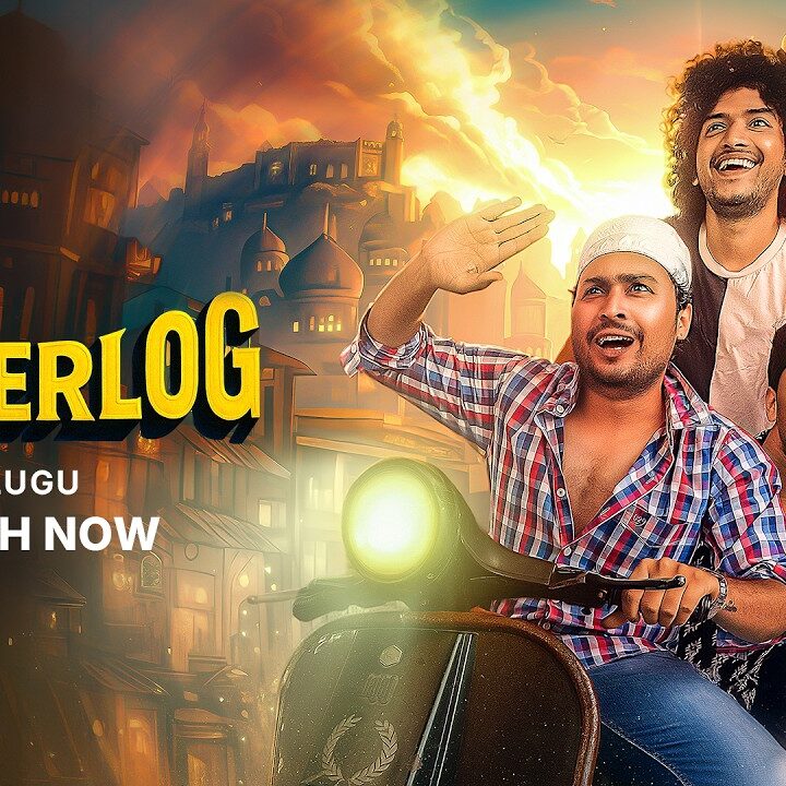 Ameer Log